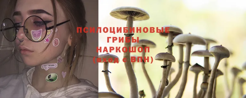 купить наркотик  Белозерск  Галлюциногенные грибы MAGIC MUSHROOMS 